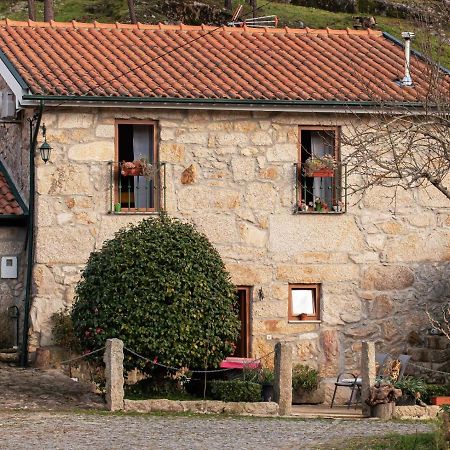Vila Casa Senhor Da Ponte Mondim de Basto Exteriér fotografie